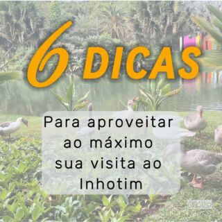 Hoje queremos compartilhar com vocês um roteiro imperdível com 6 dicas para aproveitar ao máximo sua visita ao @inhotim, o espetacular museu a céu aberto em Brumadinho, Minas Gerais. Prepare sua câmera, porque cada momento aqui é digno de registro!
.
.
.
Pousada Alta Vsita
A pousada mais próxima do Inhotim
Informações e reservas 
WhatsApp 31 999126464
.
.
.
#inhotim #arteenatureza #museu #artecontemporanea #natureza