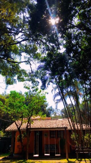 Paz e tranquilidade aqui em nossa pousada alta vista🤍✨
.
.
.
.
#pousada #inhotim #natureza